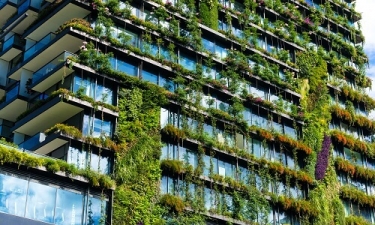 Eco Friendly Building